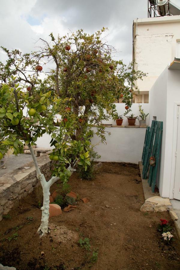 הוילה Sívas Iliopetra House מראה חיצוני תמונה